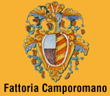 Fattoria Camporomano